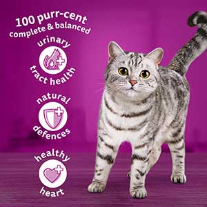 Whiskas 7+ Chicken Dry Adult Cat Food  | Pets At Home