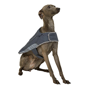 easy dog coat knitting pattern free