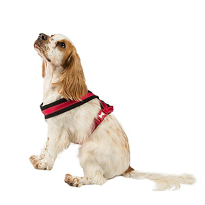 Front leading dog harness pets hot sale at home