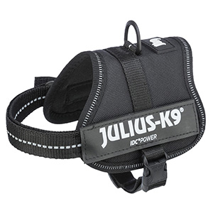 sjaal Harde ring kruipen Julius-K9 Powerharness Dog Harness Black 2XS/Baby 2 | Pets At Home
