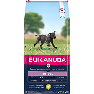 EUKANUBA Dog Food Puppy Large Breed 