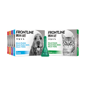 Frontline store plus medium