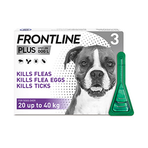 frontline flea treatment for dogs