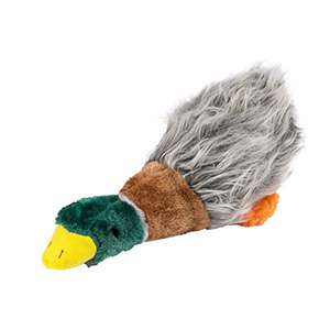 pets at home duck toy