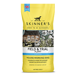 Skinner's Field and Trial Chicken Puppy 