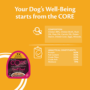 Wellness core best sale small dog food