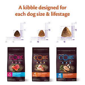 Wellness Core Complete Medium/Large Breed Dry Adult Dog Food Salmon ...