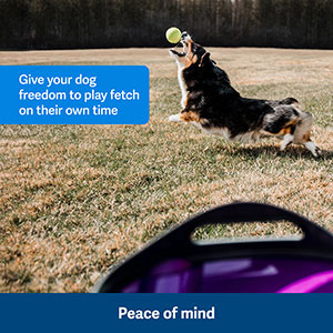 PetSafe Automatic Ball Launcher For 