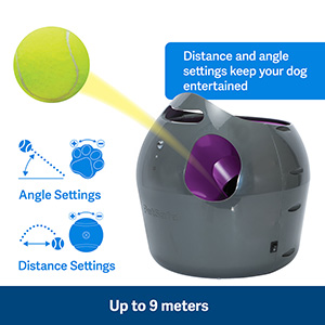 Levering fax Samuel PetSafe Automatic Ball Launcher Dog Toy | Pets At Home