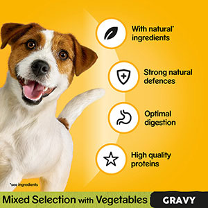 Pedigree Wet Adult Dog Food Mixed in Gravy 12 x 100g Pouches | Pets At Home