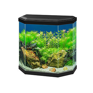 Ciano Aqua 30 Aquarium Black 25L | Pets At Home