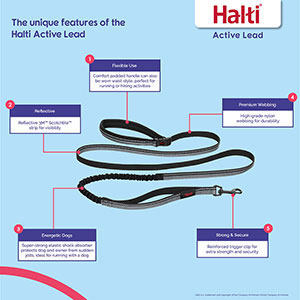 Halti all outlet in one lead