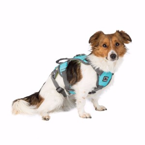 3 Peaks Lime/Blue Excursion Dog Harness 
