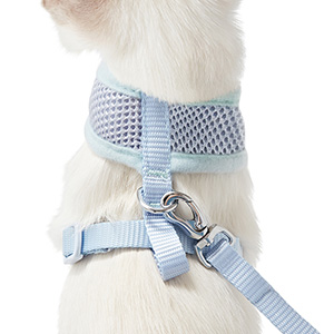 kitten harness pets at home