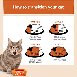 Wellness core cat sales food