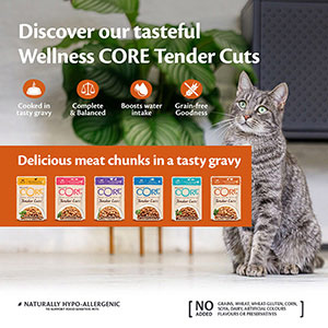 Wellness CORE Tender Cuts in Savoury Gravy Cat Food Salmon and