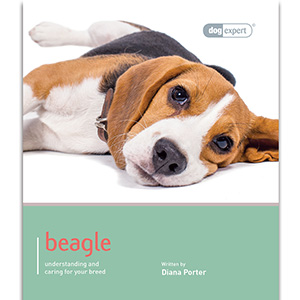 Beagle books hot sale