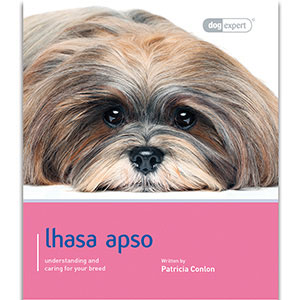Magnet & Steel Lhasa Apso On Board 