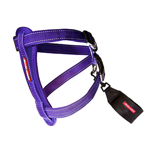 Ezydog harness how to clearance put on