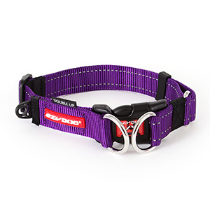 Where to buy d best sale rings for dog collars