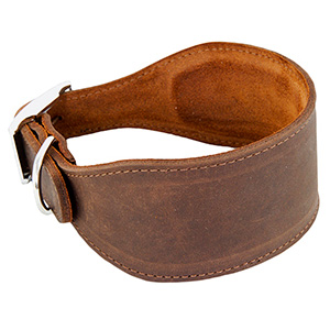 Earthbound Leather Whippet Collar Brown Small | Pets At Home