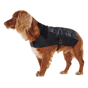 barbour small dog coat