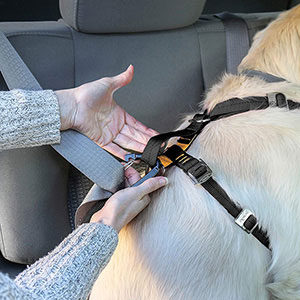 Kurgo Tru-Fit Car Safety Dog Harness with Pet Safety Seat Belt Black Medium