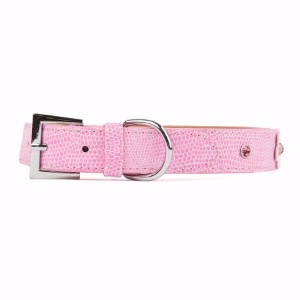 Pizza Dog Collar – Pink House Pups