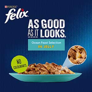 Felix as good as it looks clearance ocean feasts 40