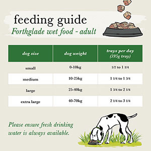 Forthglade lamb hotsell