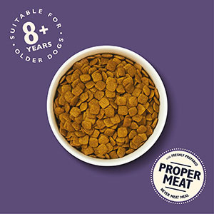 lily's kitchen senior dog food pets at home