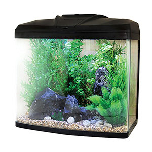 Geweldig Populair Beter Aqua One Aqua Vue 580 Aquarium 75 Litre | Pets At Home