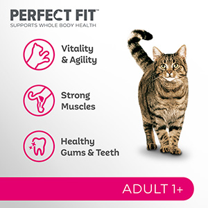 Perfect Fit Advanced Nutrition Dry Adult Cat Food Salmon 2.8kg