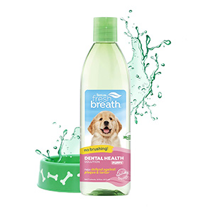 Dog breath freshener pets at sale home