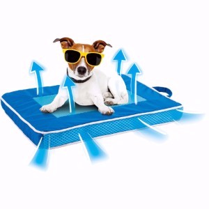 all for paws cool dog mat