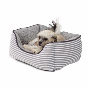 small dog beds