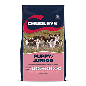 chudley puppy junior