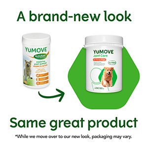 Yumove young store and active 240