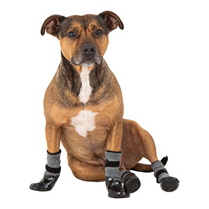 dog boots pets at home