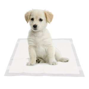 Just For Puppy Training Pads 200 Pack 