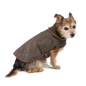 pets at home dog coats