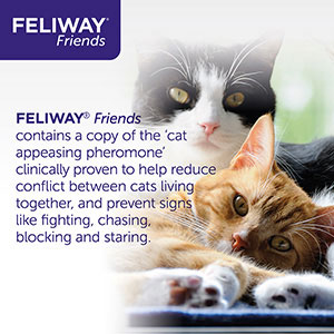 Feliway,Friends Diffuser Refill - 3 pk - Ren's Pets