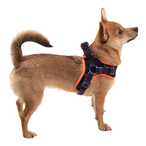 pup tech harness