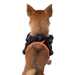3 peaks step in dog harness