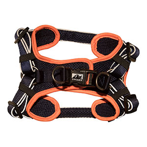 3 peaks expedition lightweight step in harness