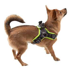 step in dog harness