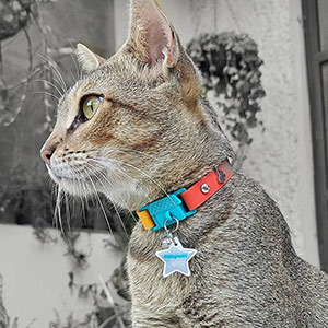 Liberator cat collar pets hotsell at home