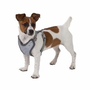 for Puppy Stripe Harness Grey XX Small 