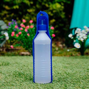 are water bottles safe for dogs to chew