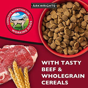 arkwrights beef dry dog food reviews